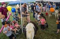 Children at the Petting Zoo